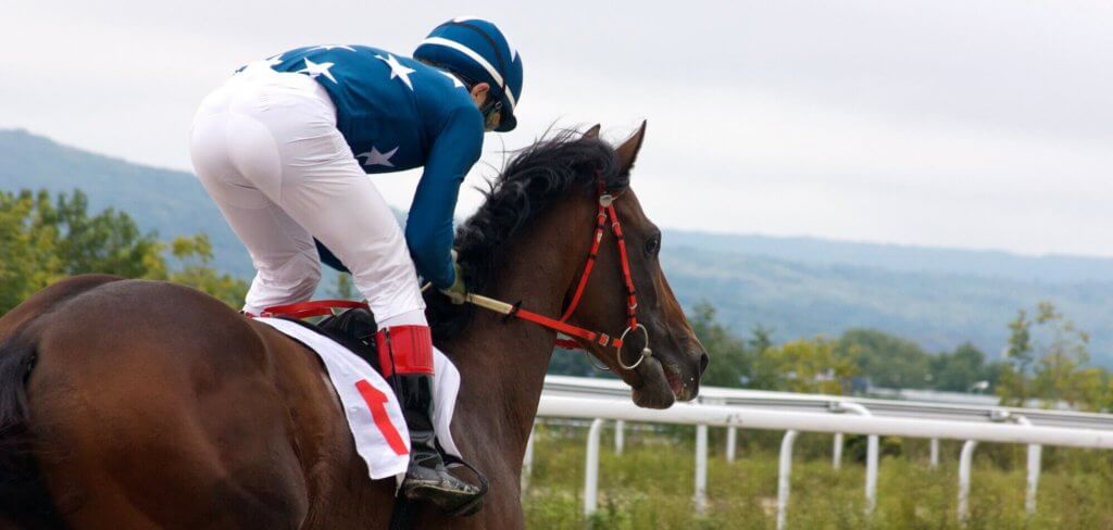 Horse racing betting 