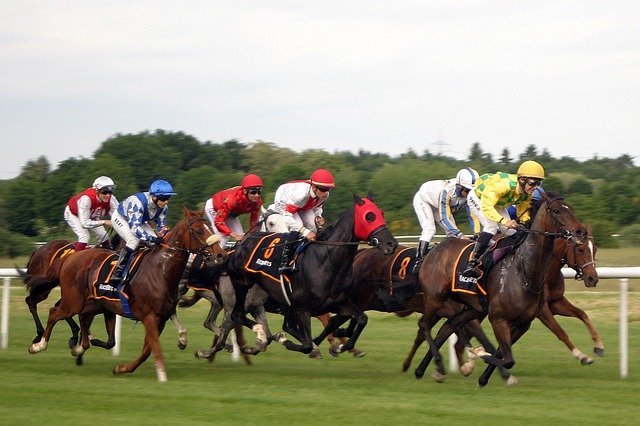 Ontario Sportsbooks Could Have Horse Racing Soon